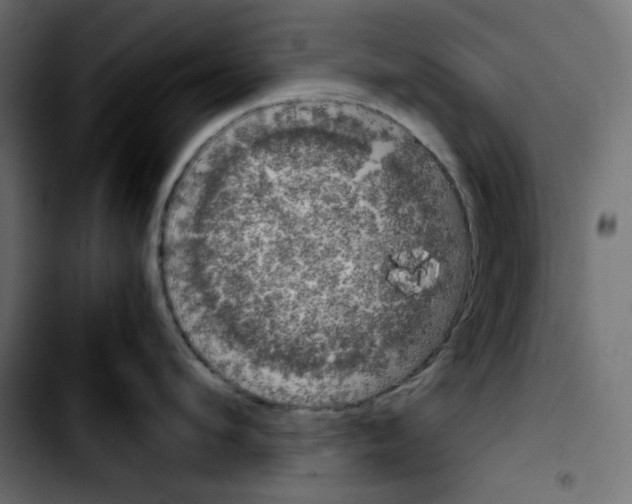 X0000103900912200810311407