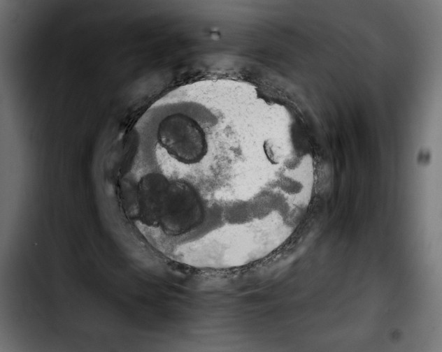 X0000103900913200810311406