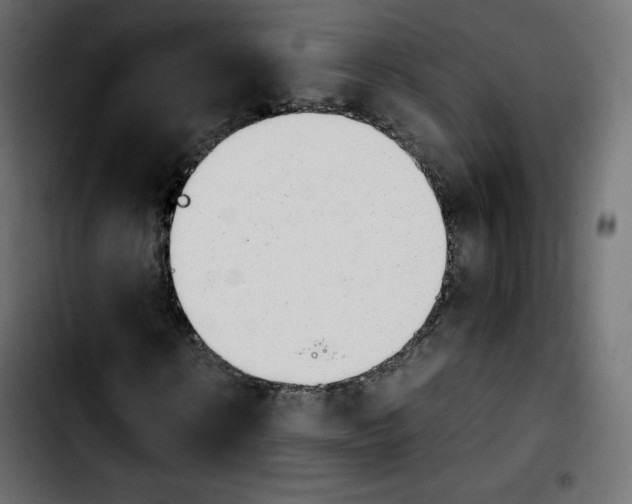 X0000103900914200810311406