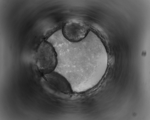 X0000103900917200810311406