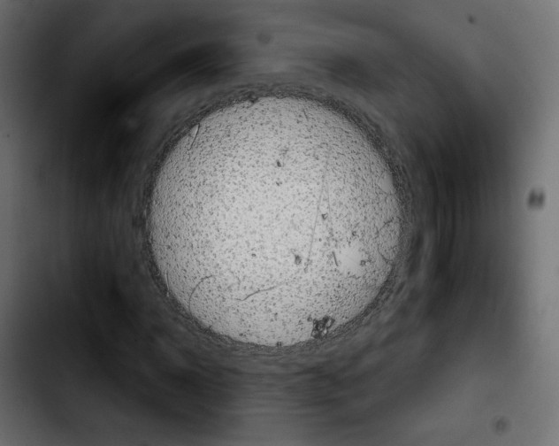 X0000103900918200810311406