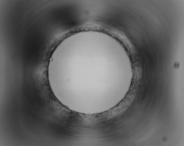 X0000103900920200810311406