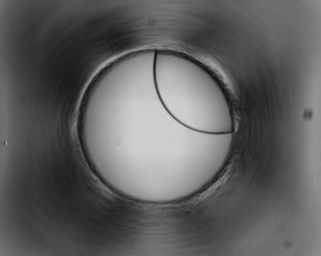 X0000103900924200810311406