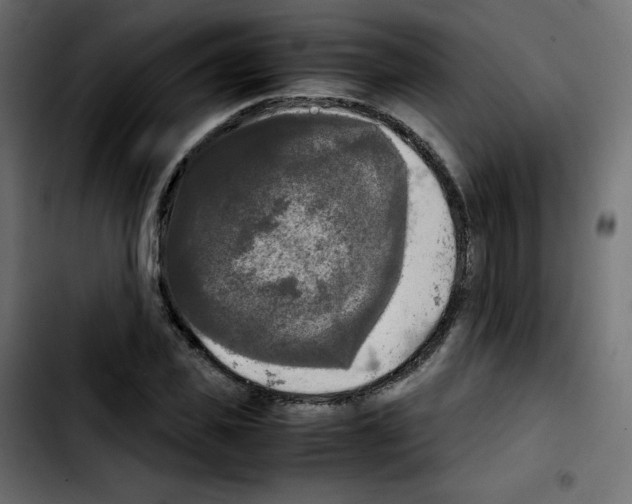 X0000103900925200810311406