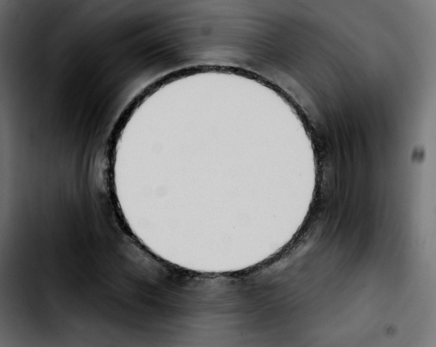 X0000103900926200810311406