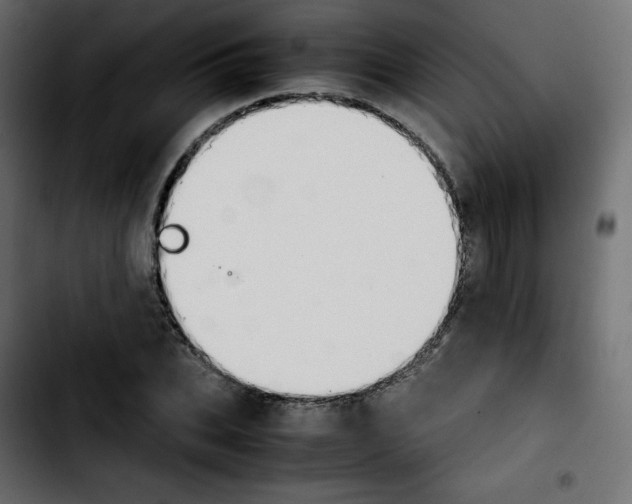 X0000103900927200810311406