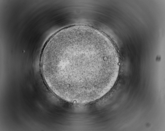 X0000103900928200810311406