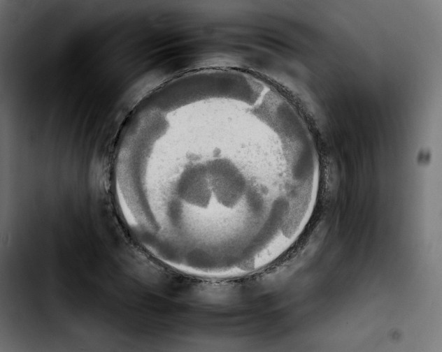 X0000103900929200810311406