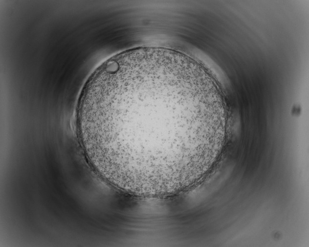 X0000103900932200810311407