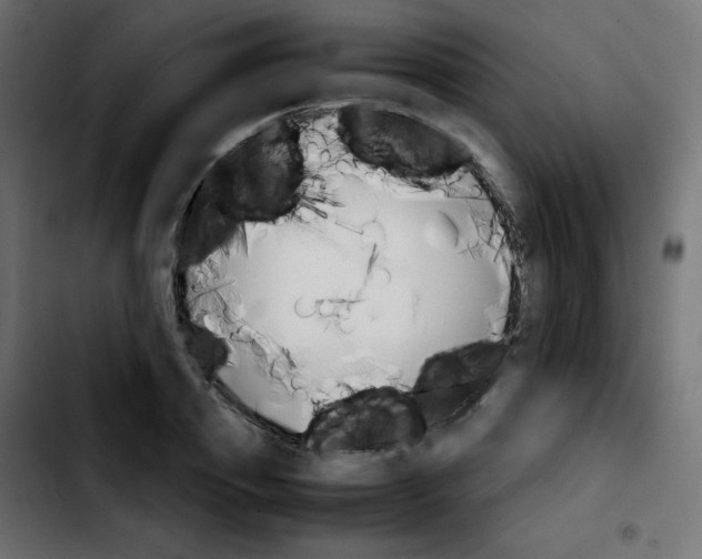 X0000103900933200810311407