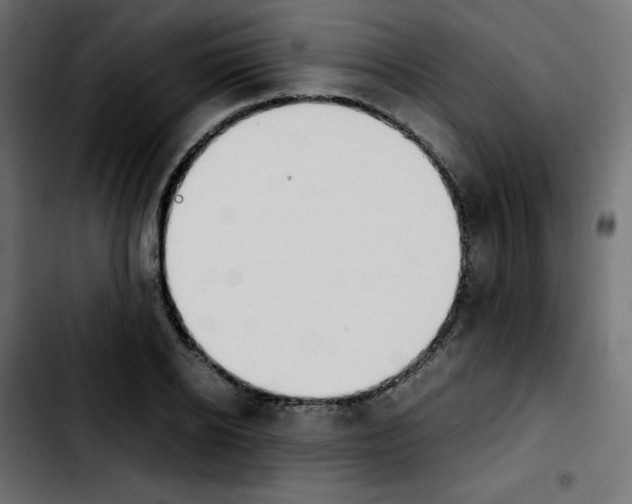 X0000103900934200810311407