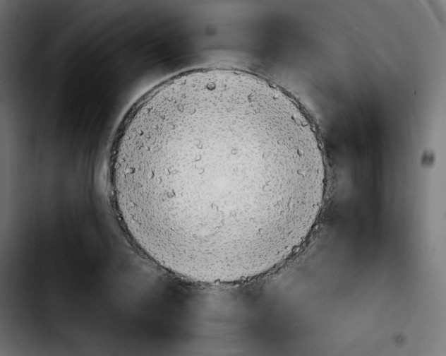 X0000103900936200810311407