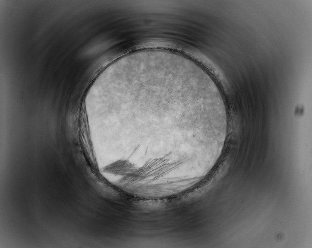 X0000103900937200810311407