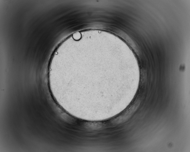 X0000103900939200810311407