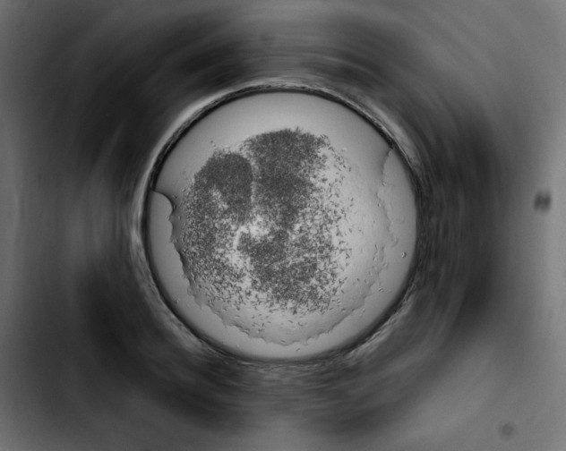 X0000103900940200810311407