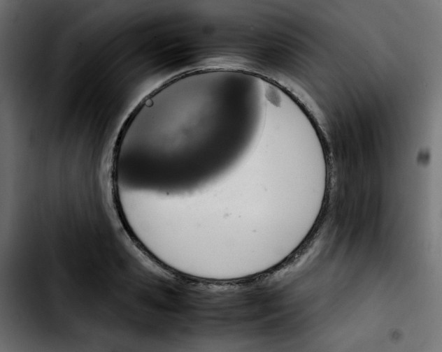 X0000103900941200810311407