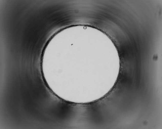 X0000103900942200810311407