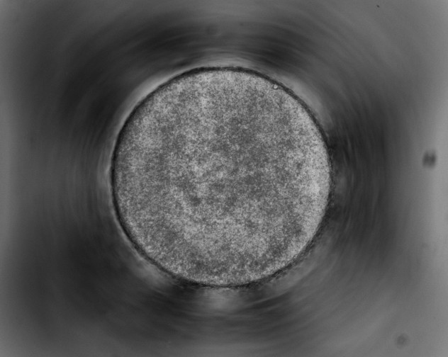 X0000103900943200810311407