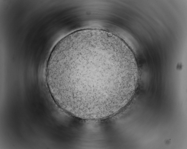 X0000103900944200810311407