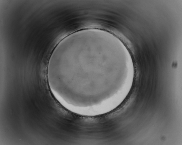 X0000103900945200810311407