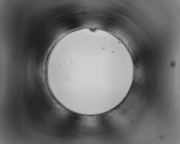 X0000103900947200810311407