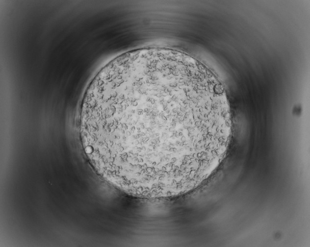 X0000103900948200810311407