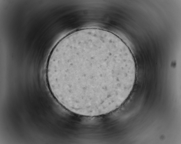 X0000103900949200810311407