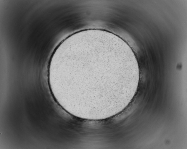 X0000103900950200810311407