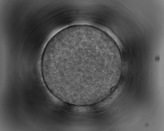 X0000103900951200810311407