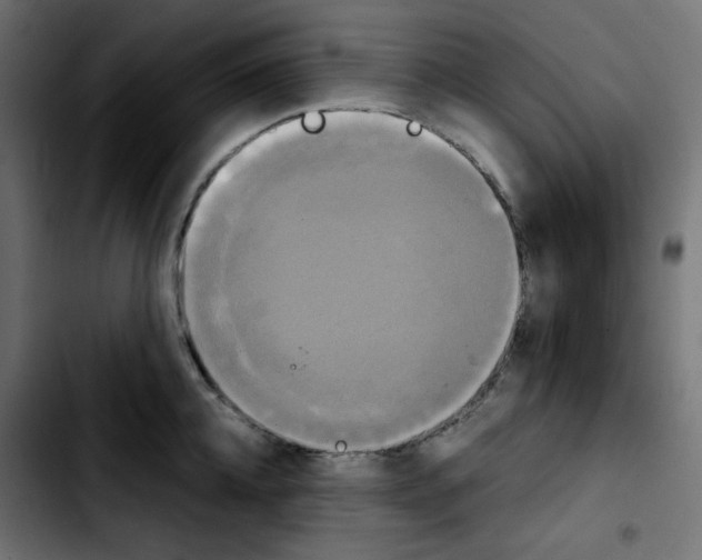 X0000103900952200810311407