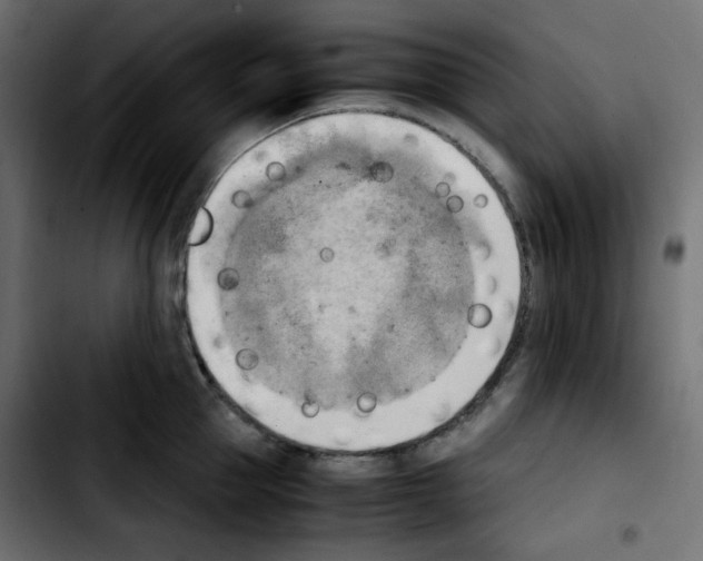 X0000103900953200810311407