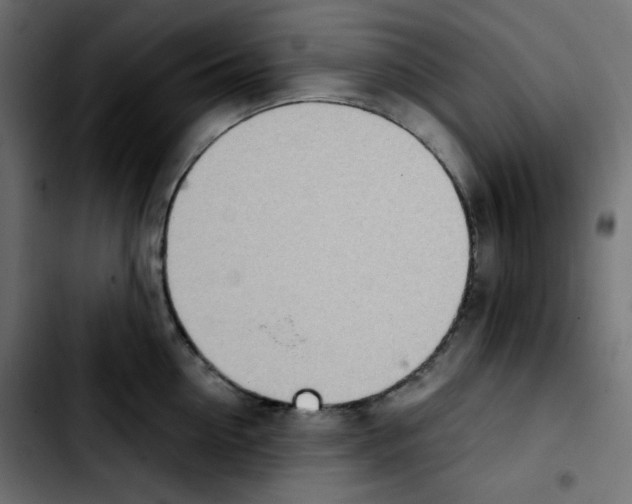 X0000103900954200810311407