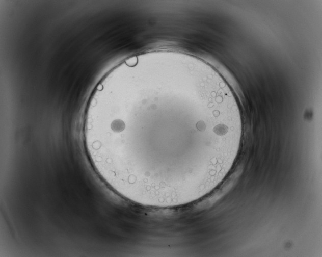 X0000103900957200810311407