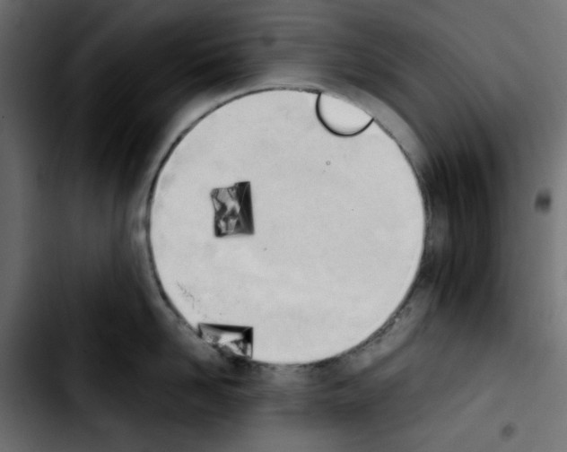 X0000103900958200810311407