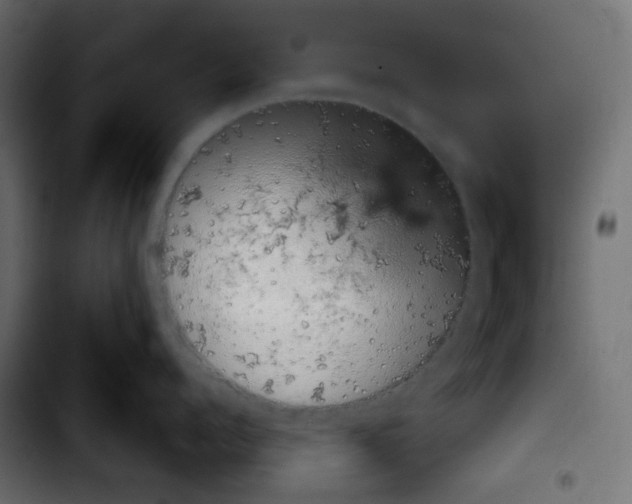 X0000103900960200810311407