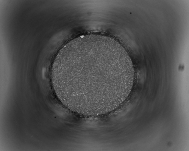 X0000103900961200810311406