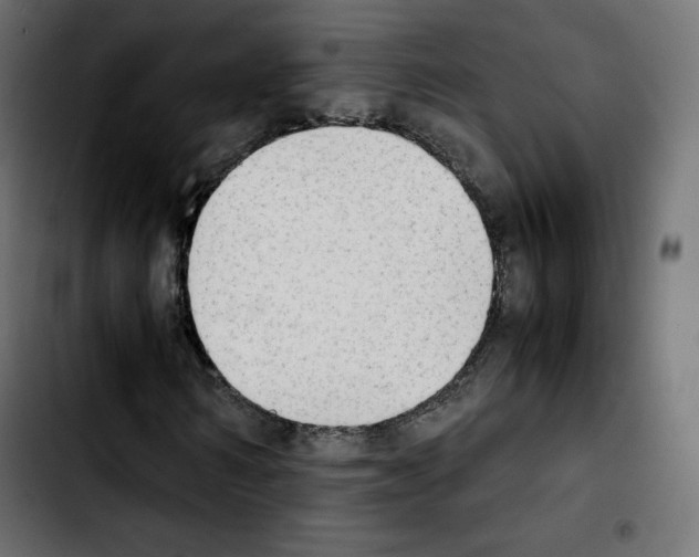 X0000103900962200810311406