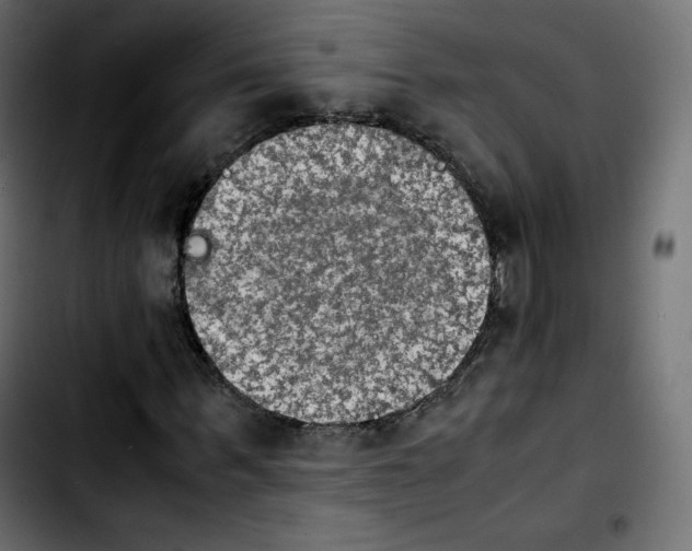 X0000103900963200810311406