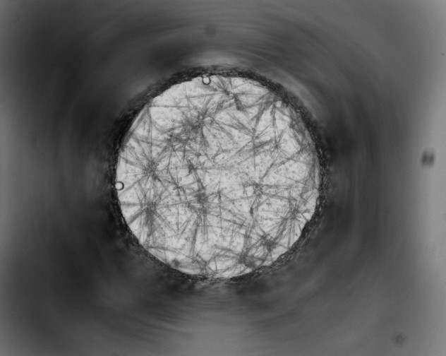 X0000103900967200810311406