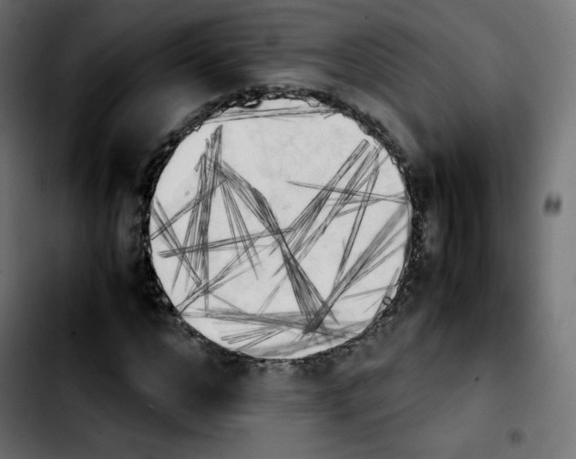 X0000103900968200810311406