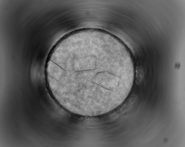 X0000103900972200810311406