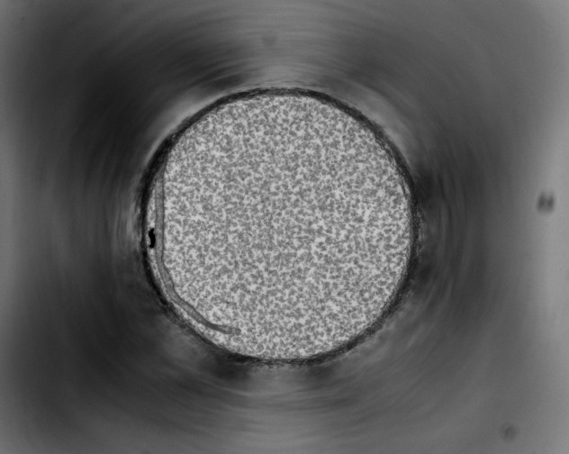 X0000103900973200810311406