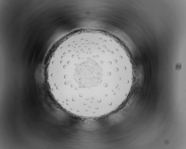 X0000103900974200810311406