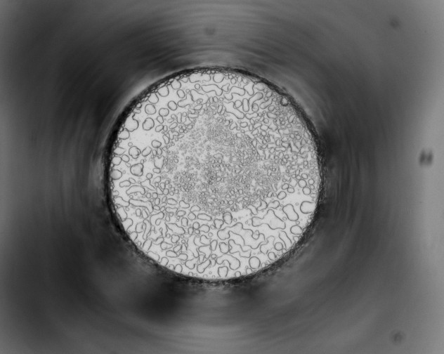 X0000103900975200810311406