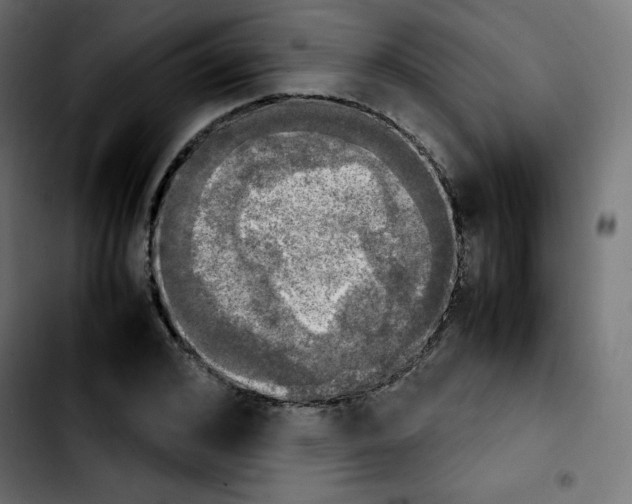 X0000103900976200810311406