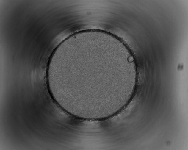 X0000103900977200810311406