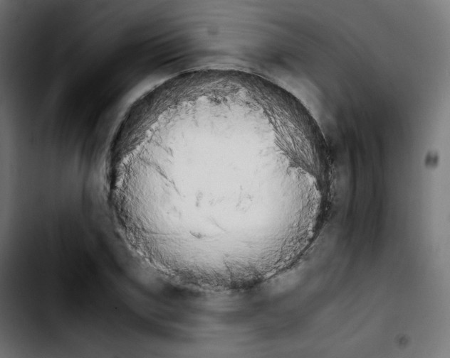 X0000103900979200810311406