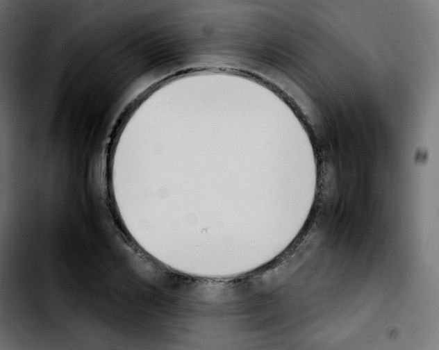 X0000103900982200810311406