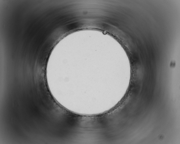 X0000103900985200810311406