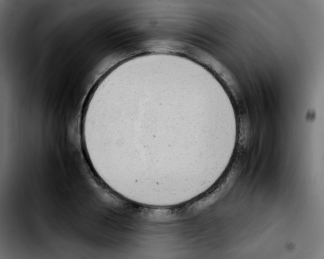 X0000103900986200810311406